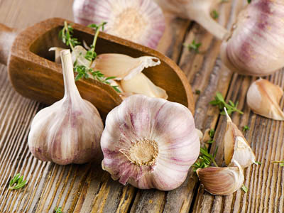 Garlic Treatment for Hair Loss