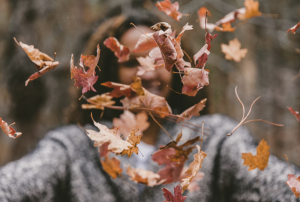 How to Prevent Hair Shedding in the Fall 