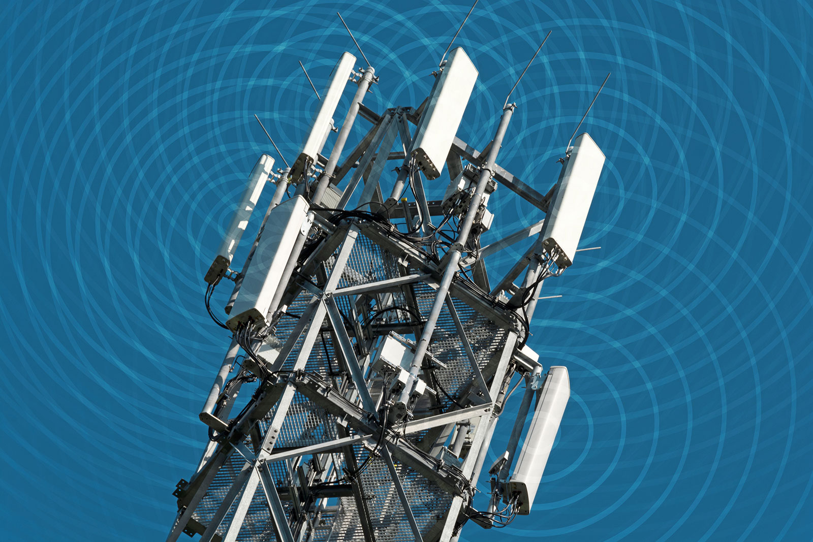 Read more about the article Does Electromagnetic Radiation From Cell Phones Contribute To Hair Loss?