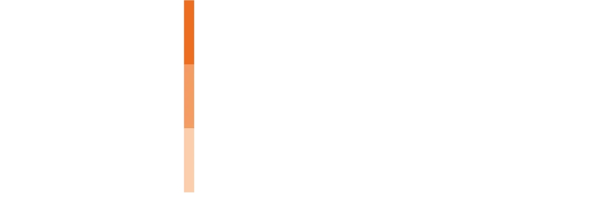 logo asds cmyk 1