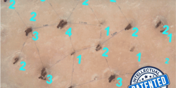 Close-up view of a textured surface with numbered markers indicating various points of interest for a patented technology. The image features a network of lines connecting the markers, which are labeled with numbers 1 to 4, illustrating a specific pattern or layout. The background appears soft and neutral, emphasizing the markers and lines. A blue badge at the bottom right corner states "PATENTED PROPERTY," highlighting the intellectual property status of the design. This visual aids in understanding the arrangement and significance of the markers in the