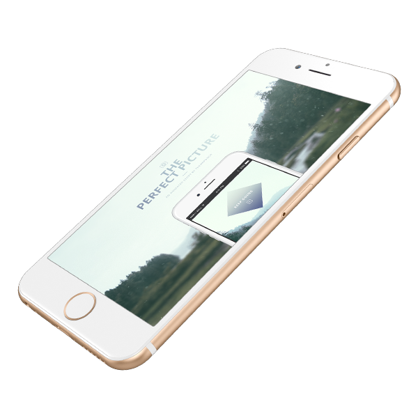 Read more about the article The 8 Best Foods for Hair Growth